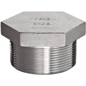 स्टेनलेस  304  304 L  304 H जाली सॉकेट थ्रेडेड प्लग निप्पल बॉस यूनियन डालें