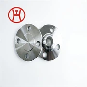 Inconel 600 601 62 5 718 82 5 जाली WN SW BL SO TH निकला हुआ किनारा आरएफ FF RTJ ASME B 16। 5